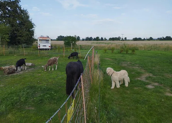 Campingplatz Ddr Wohnwagen Friedel *